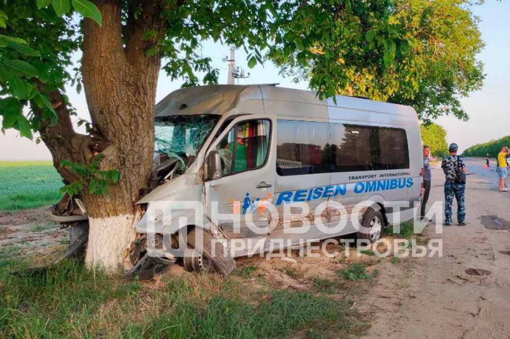 ������ ��� �����������. �������� ������������ � ����. ������� �����������