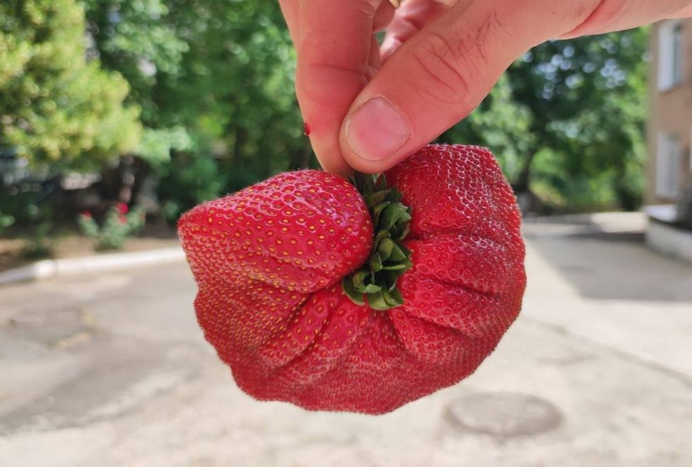 �������� �� ������� � �������������