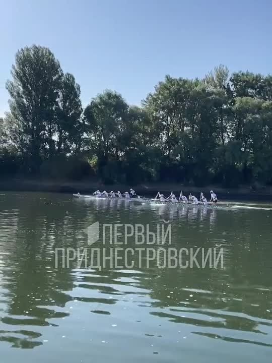 ������� � ���������� ����� �� ����������: