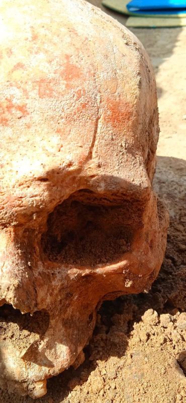 ���� ����������� �������� - ��� �������� ������� ����������� ��������������� ���������