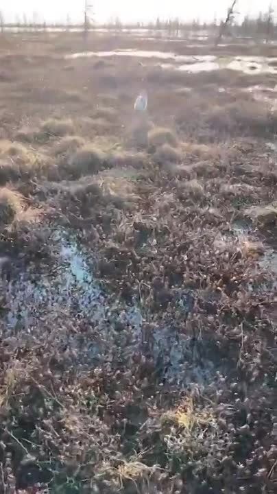 ��� ����� � ������ ������� ������, ����������� �� ������� ����