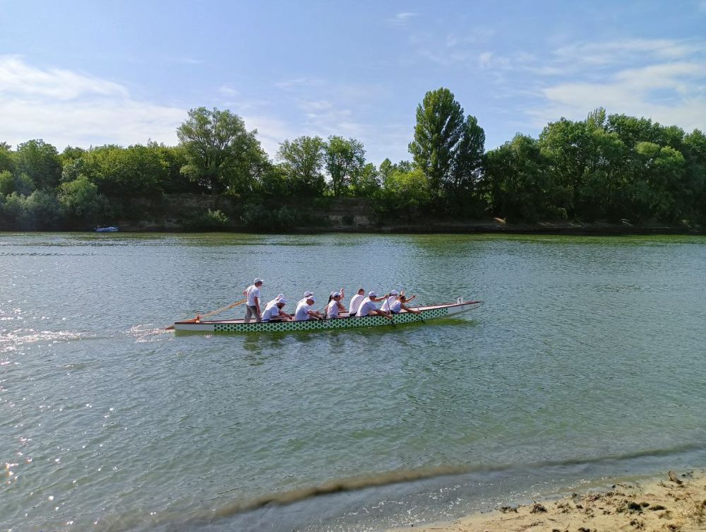 ������ ���������� �� ��ƻ: ��������� ������ ���� ������