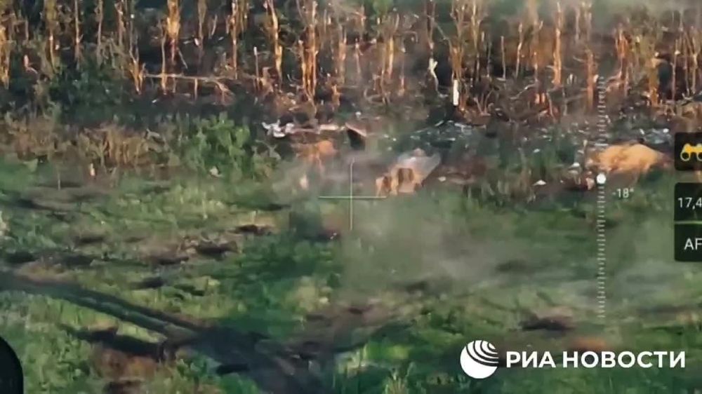 ������� ���������������� ��� ���� � �� ������� ����������� �����������