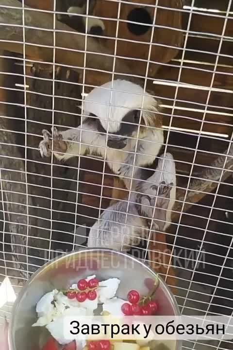 ���� �������� �� ����. �����, ������, ���������, �������� � ������� ���������