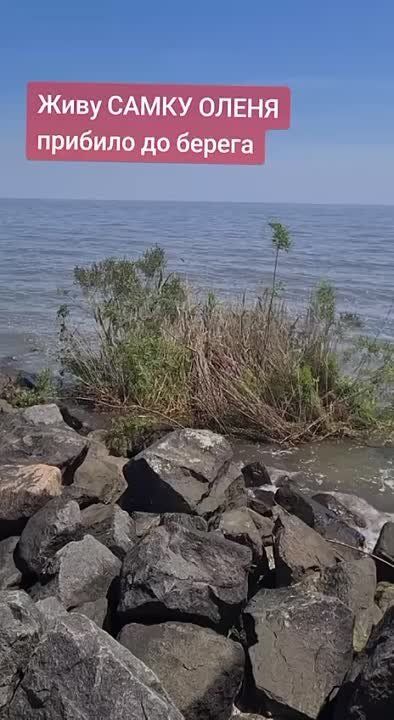 � ������ � ������ ������� �������� ������ �� ������� �������������� ������