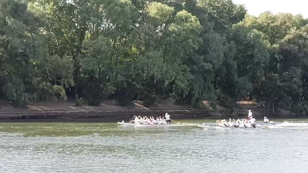 ������ ���� ������ ������� � ������ ������� ��������� ���������������� � ������������� ���. ��������� ������� ������� ��������� � ����������� 1,25