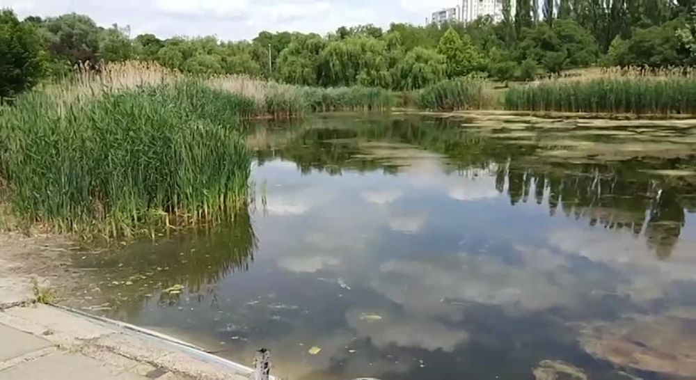 ����� �� ���� � �������� ������� ����������� � �������