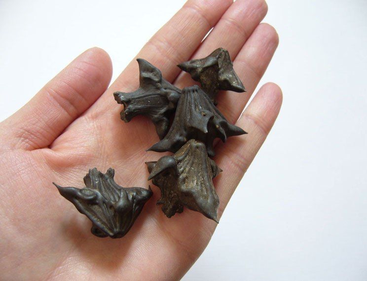 ���� �� � ���������! �� ���������: ���� �� ������� ��������� �������? � ������� ����� � ������� � � ���� ������������ ��������, ������� �����