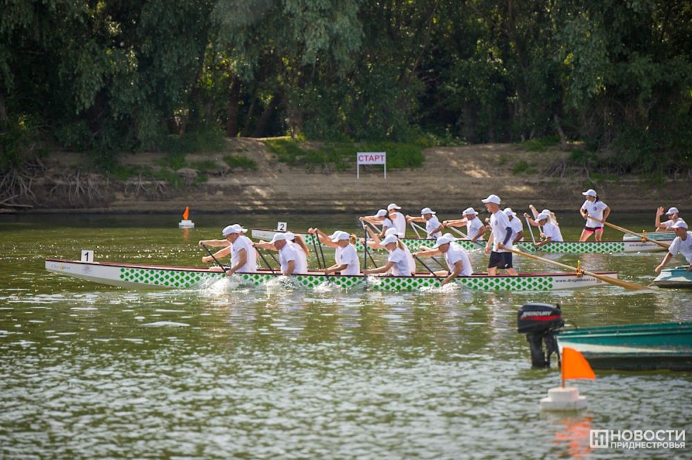 ����, � ��������� ������ ������� �� �������� � �������������