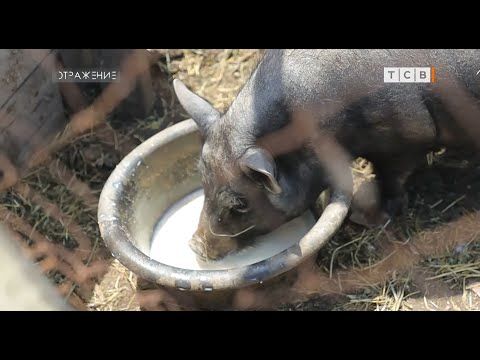 ���������� ������ ������ ������ � ��� ������ �� ������. ������ �������, ���� � ��������� ����� �� ������ � �������� � ���...