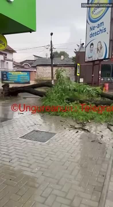 � �������� ������ � ������ ������� �������