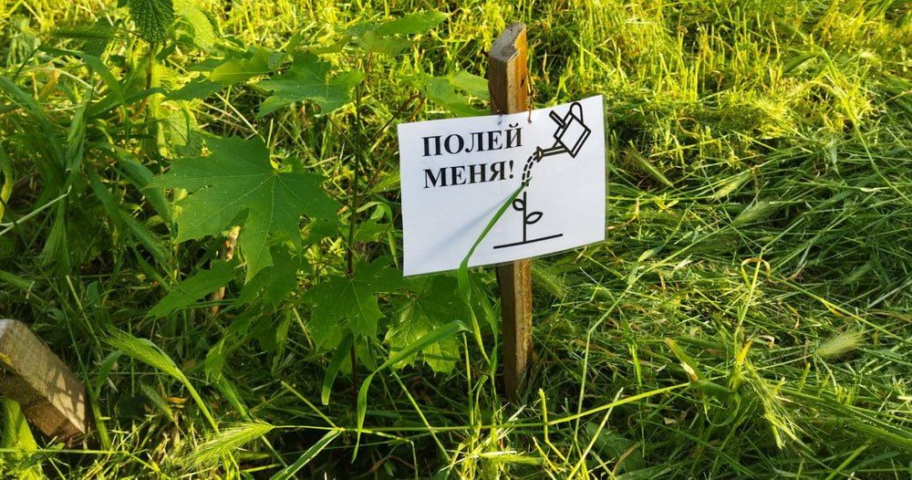 � ��������� ������л ����� ��������