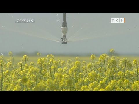 ������ ���� ���� �� ������. ���� ��������, 4 ���� ��������� ���������������� ����� ������ ����������� �� ��� �������...