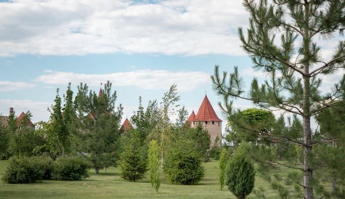 � ������������� 11 ���� � ���������������� ���������� ����������� ���������� ����� ��������������