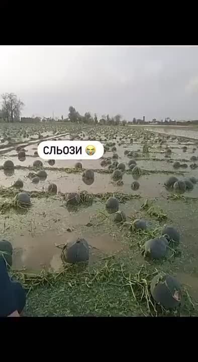 ���������� ������� � ���� ���� ����� �� �����