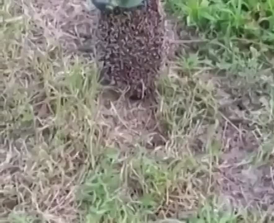 ������ �� ��� � ������� ����-�������� ������������ �����