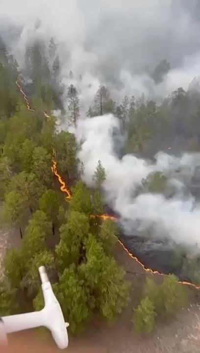 ������ ������ �� ���������� ���������� ����������� � ������� � �������