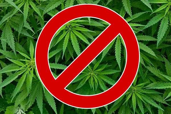 ��������� �������. ������������ ���������� ��� ������� ��������� ������� � ������� ������ �� ������� ������������ �. ��������. ��� ��������� 9 ���� � ���� �������� �������� ���������� �������