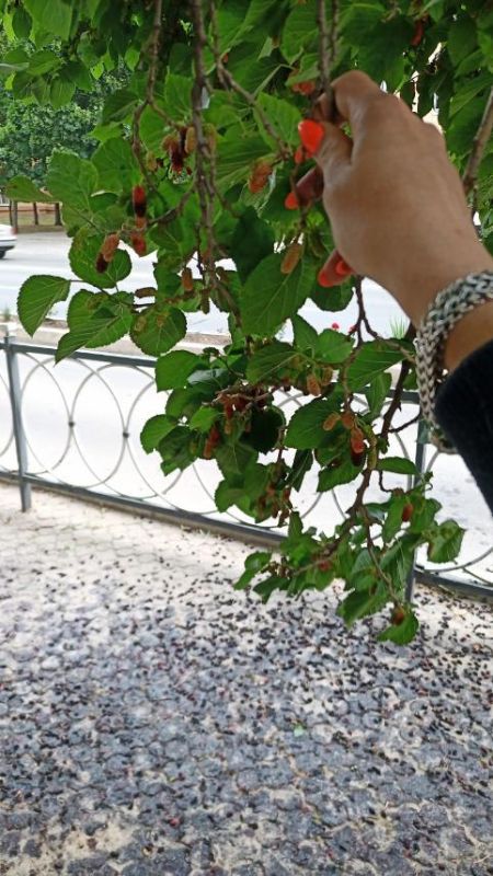 � ����� �� ������. ����� ��������� ������