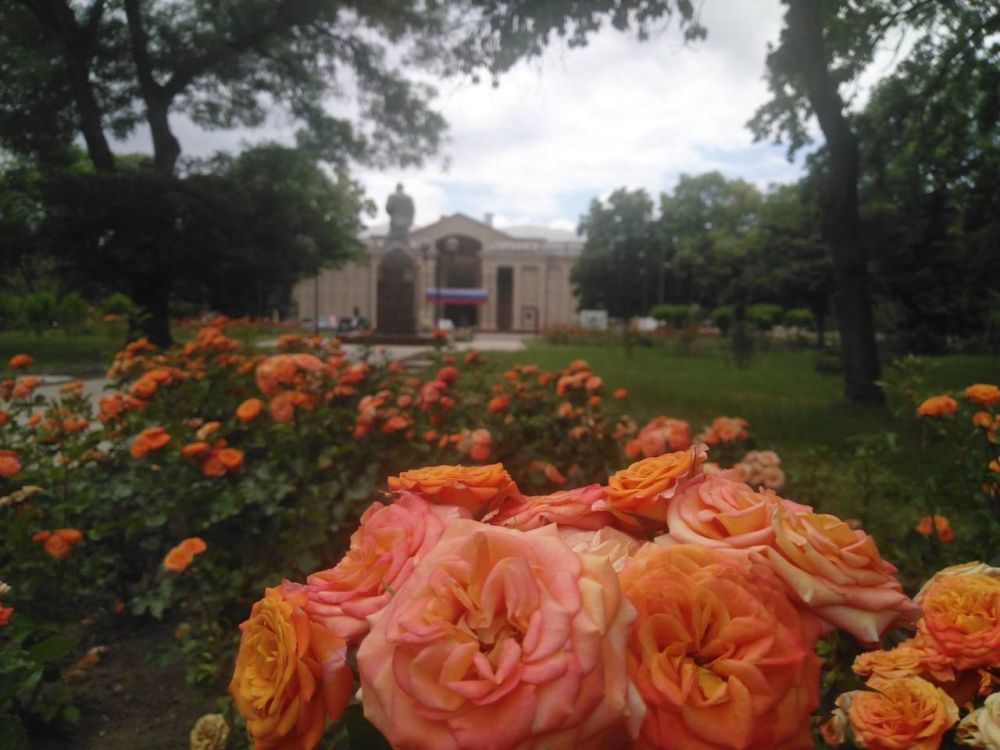 13 ���� ��������� ���������� ����������, ��� �������