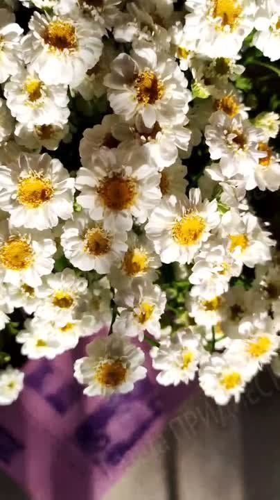 ��������� ������ �� ��������