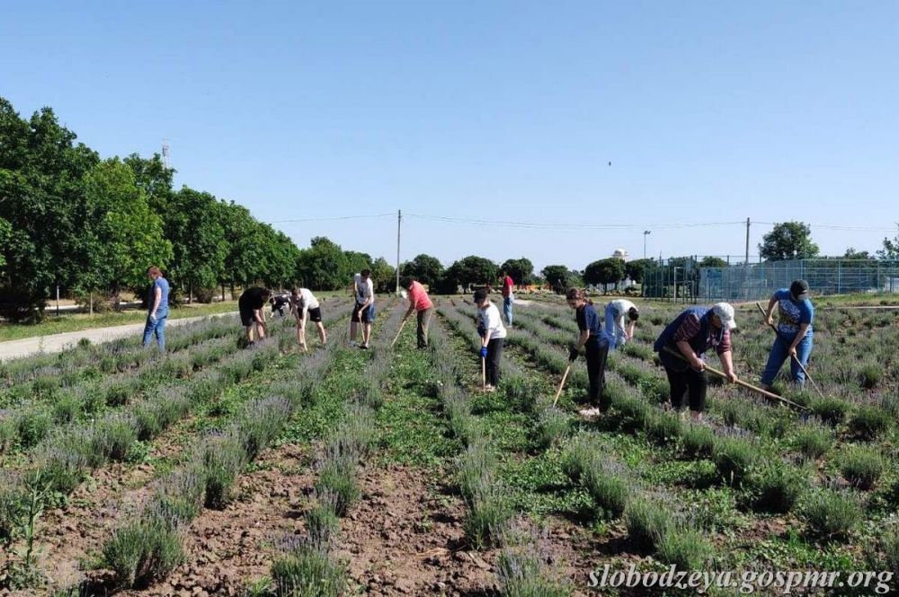 � ����������� ������� ������� �������