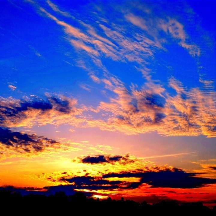 �� ������ ���.. ���� ������� ���������