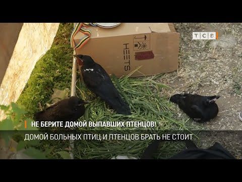 �� ���������� �������, �������� �� ������. � ����� ��������������� � ���� ���������� ������ ������ ������� ���������. �� ��������, ��� �����, � ��� ����� �� ����� ������ � �������� ��������