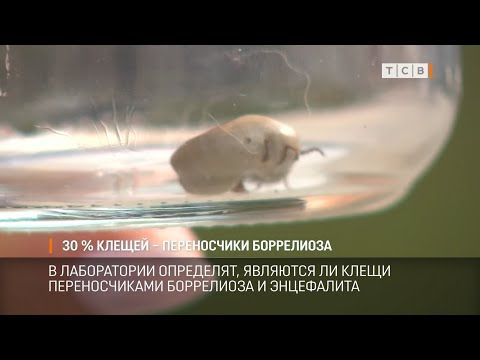 26 ��������������� ������ ����������� � ������� �� ������������. ��������������� ���������� ������ ��� ����� ������� �������...