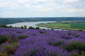 30 ����, 1 � 2 ���� ������ ��������� ��������� �������