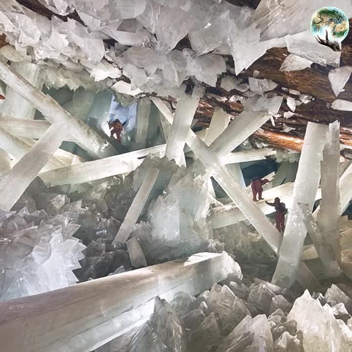 ������ ��������� �� ��� ����������� ������� ���������� ��������!