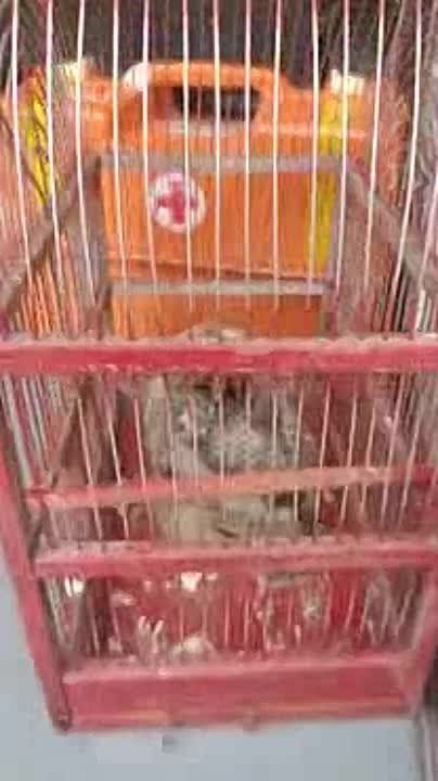 �� ������������ � ��������� ��� �������� ������� ������� ������ �� �������