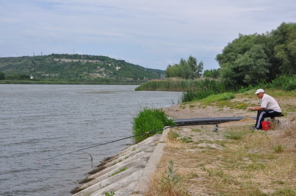 16 ���� ���������� ����������� ���������� ������