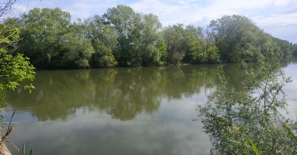 ��������������� ������� 13���� 2023�