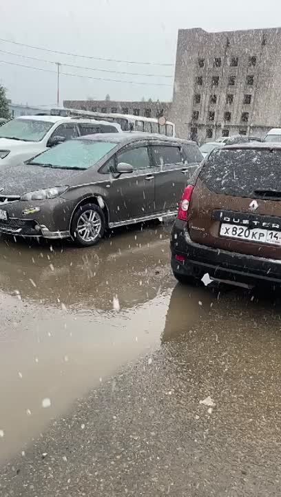 � ��� ������ ������� � ������