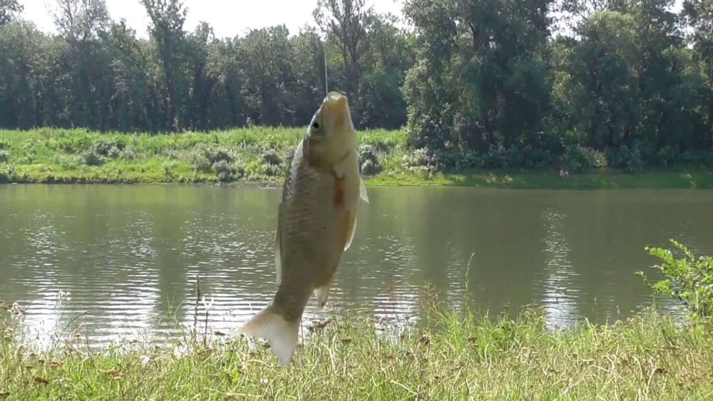 ��������, ������� ������!