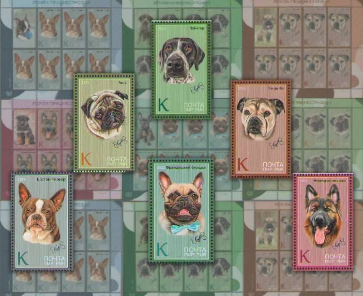 ������������ ����� �����