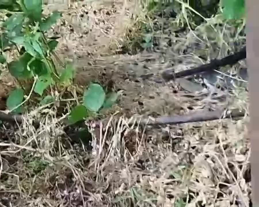 � ������������� ����� ������ ����� ������