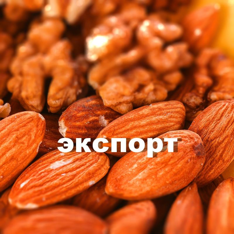 �������� ������� ��������� ����� ������ ...