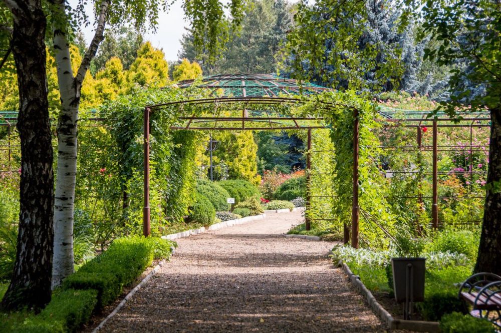 � ��������� � ���� ���� �������� ������� ���������� �������