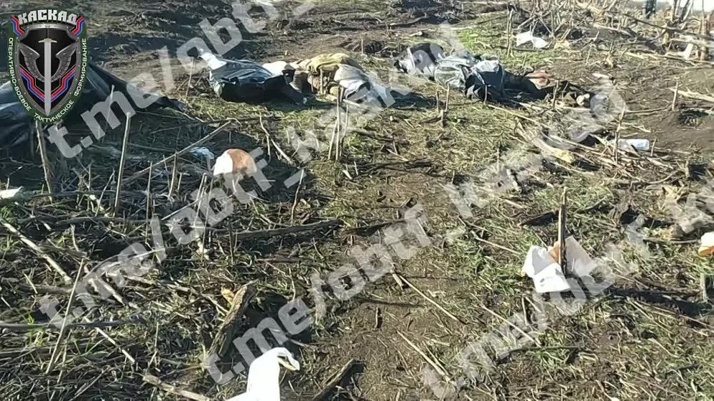 ��� ����� �������� ������ � ���� ������� ������ ������� �������������� �������