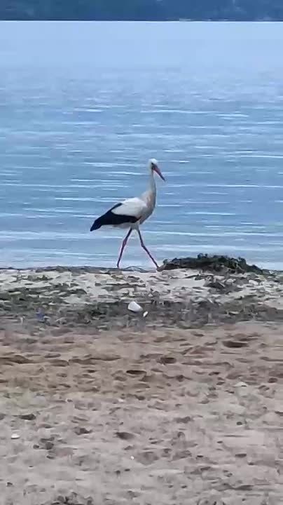 ������������ ����� ���������������� ���� � ������� ���