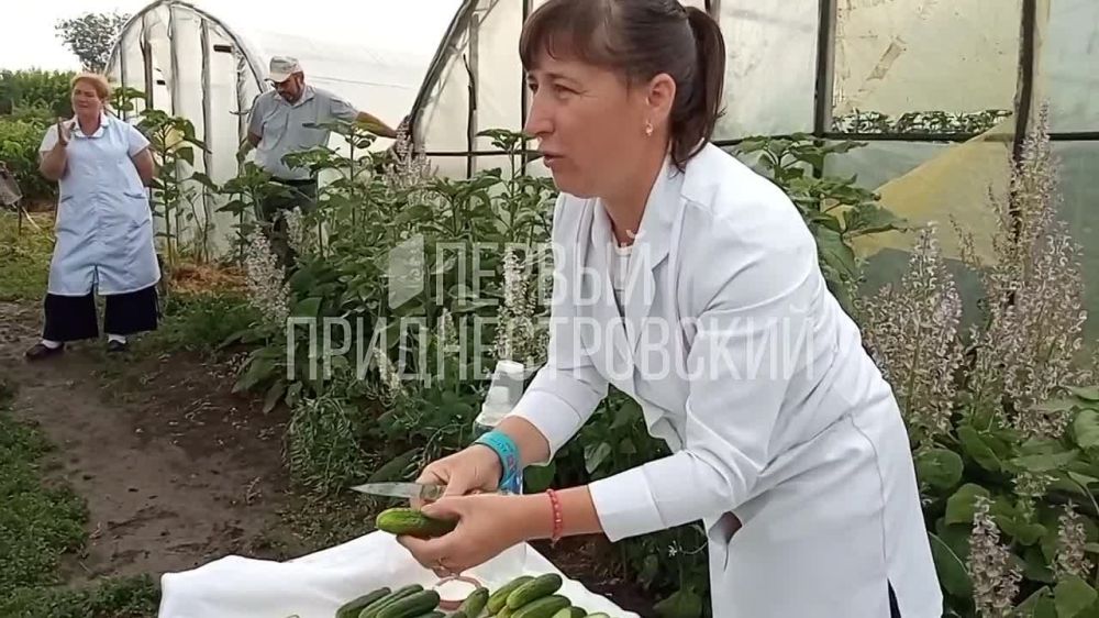 ������, ��������, ���� �����, ��������, ������� � �������� �� ���������������� ���. �������� �� ����������� �� ���������������� � �����������