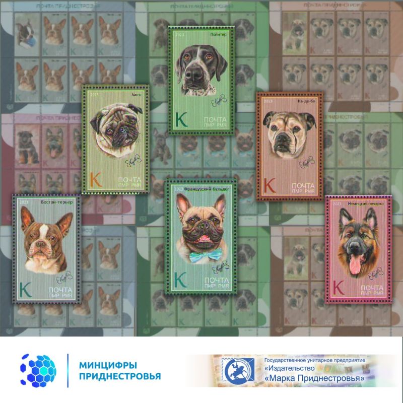 ����������� � ����������� ������� ������������ �����