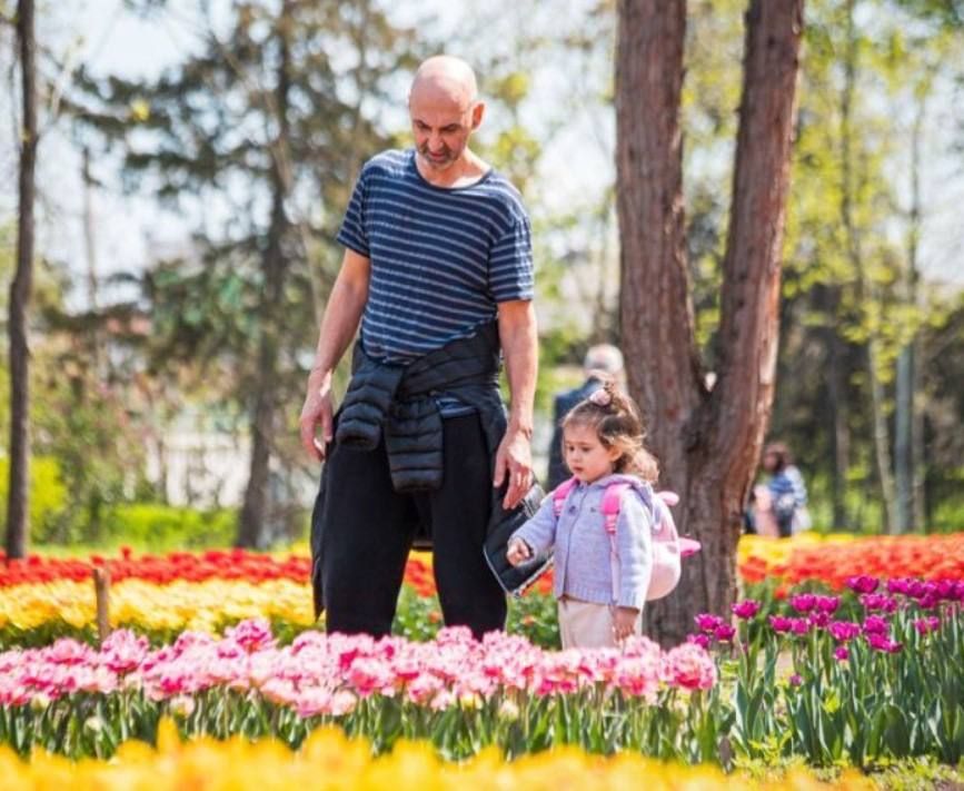 ������������� ���������� ������� � �����������: ������ �� ���� ������ �������� ���������� ������