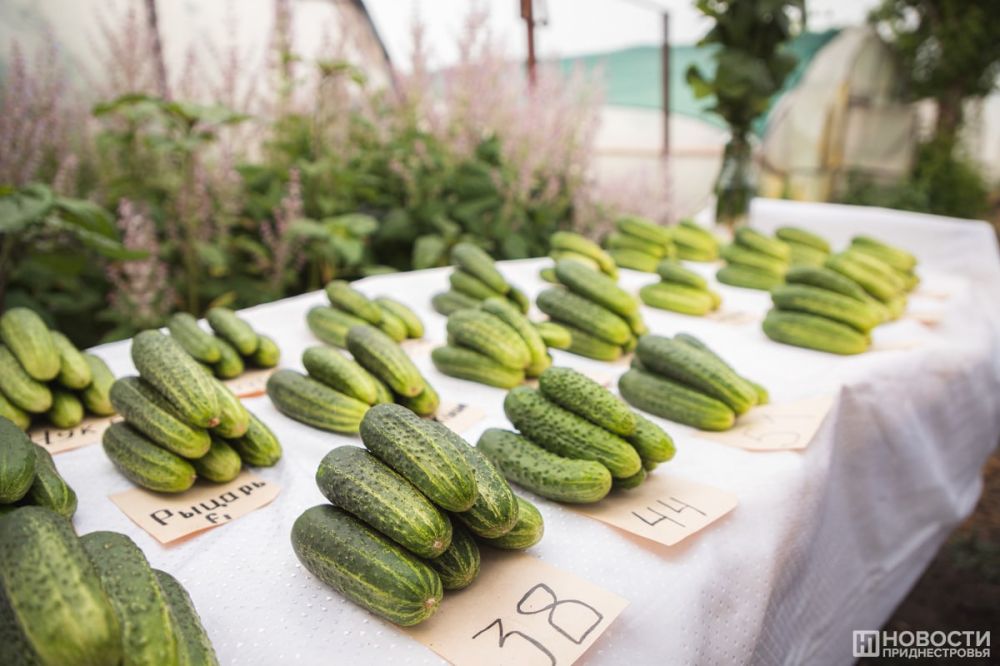 ��������� �������� ����� ������ � �������� �������, ���������� �� ��������� ���, ����������� �������������