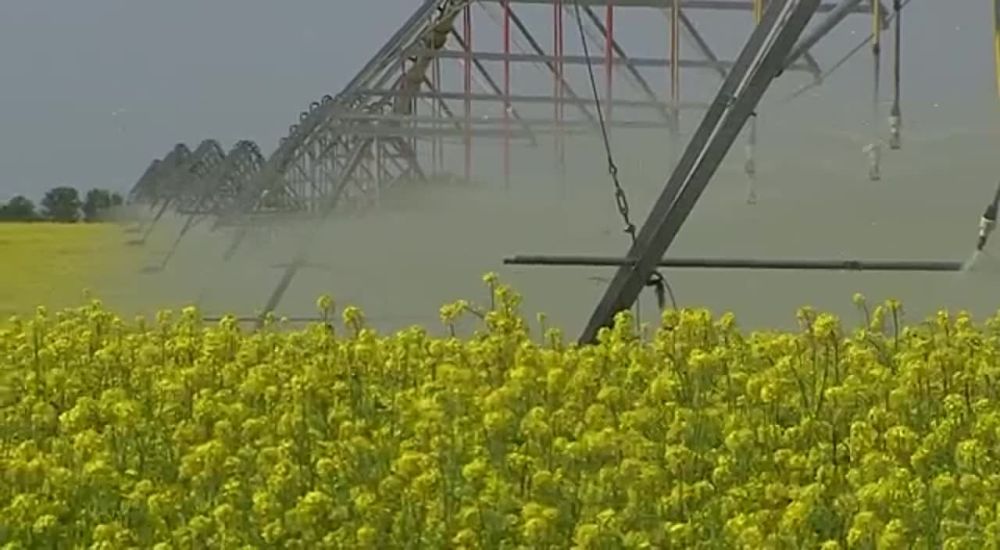 �������� ����� ������ - ��� 10 ��������� ���������� ���� - ������ �� ���� ������������� � ������ ������