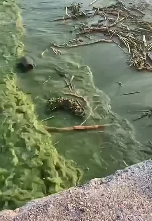 ���� � ������ ����� ���������� ��������� ��� ����� ������, �������� ��������