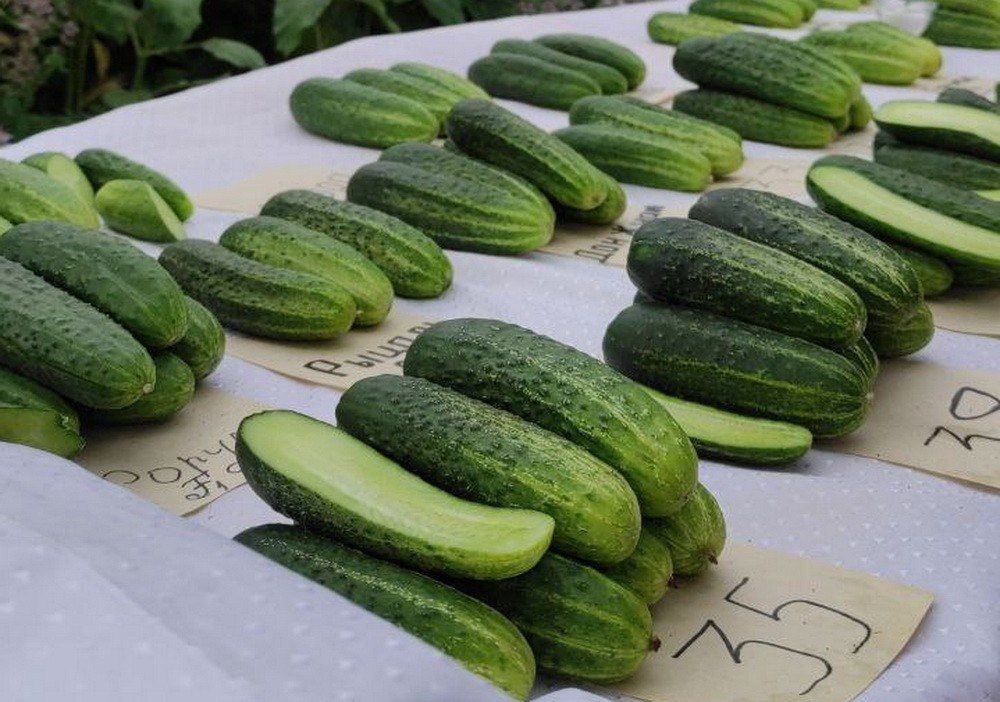 ������� � ��� ��������� ���������� ������� ������ �� ��������� ������� � ������� ������������ � ���� �� ������