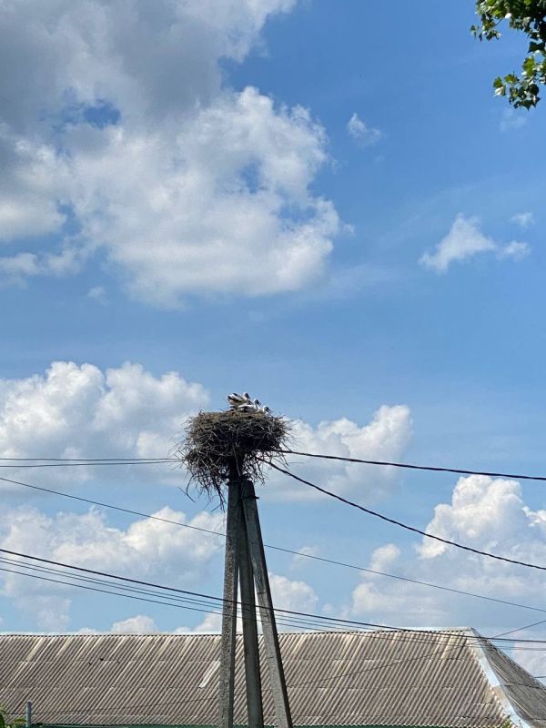 ������ ������ ������ � ���� �����������